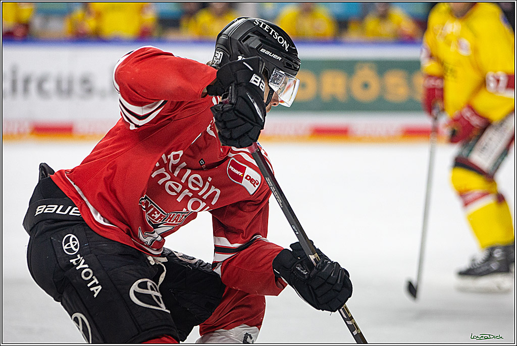 PENNY DEL; Koelner Haie- Duesseldorfer EG; Koeln, 16.12.2022